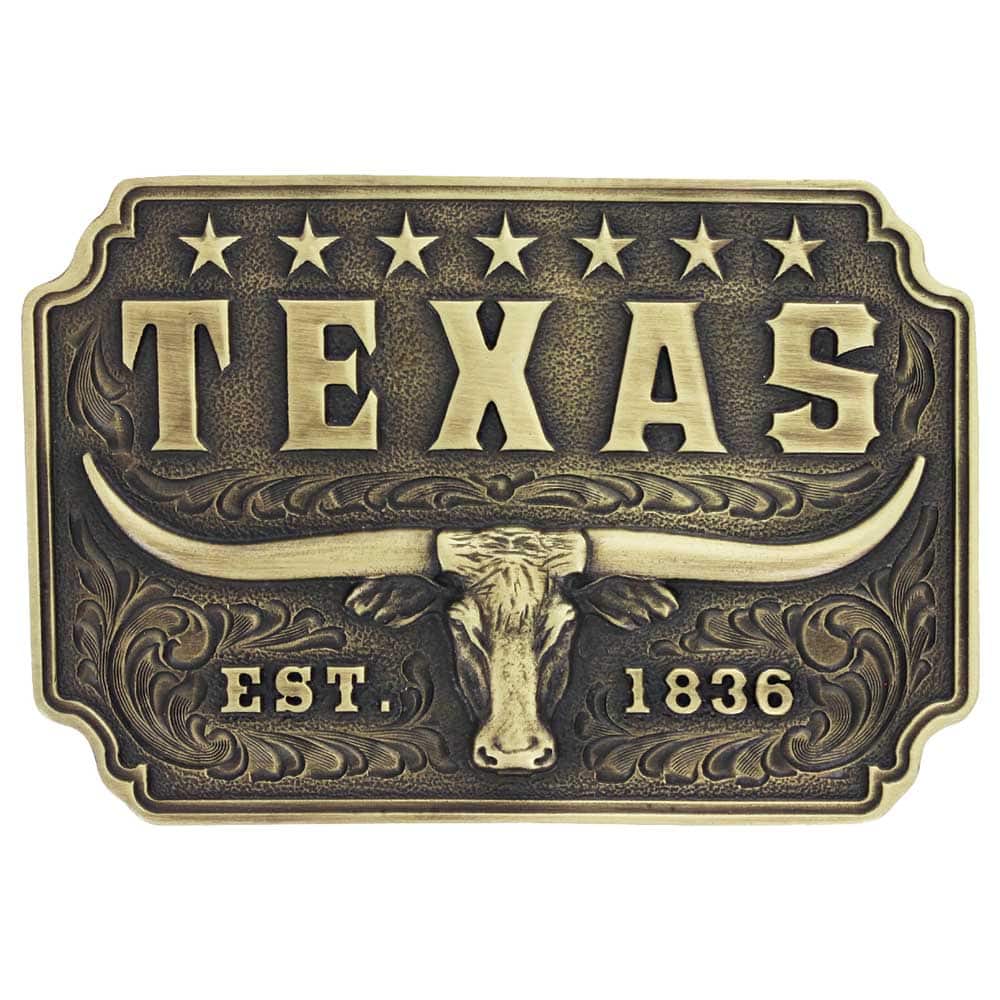 Classic Texas Longhorn A843