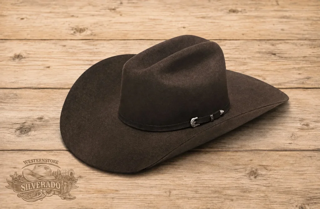 Ariat western Brown